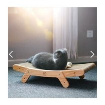 고양이 스크래쳐 원목 침대형 묘선생 처 나무, 단품