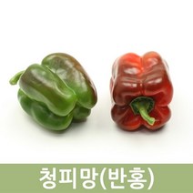 국산 청피망(반홍) 10kg 5kg 피망혼합 두리반농산, 청피망(반홍) 5kg