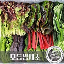 [당일수확] 친환경 유기농 모듬 쌈채소 1kg 샐러드 야채 당일수확 샤브샤브 구이용 샐러드 모듬채소 대용량, 1. 유기농모듬쌈채소 600g