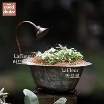 빈티지양철화분 양철정원소품 플랜트박스 양철통, 욕조 화분, 1 라지 ➕ 큰 사이즈 (투피스), 1개