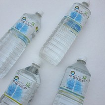 산지직송 신비의섬 청정울릉도 국산 토종 우산고로쇠 1.5리터 (6병/12병), 6병, 1.5L