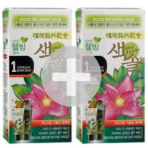 1+1 색솔 웰빙 칼라 크림 옻타지 않는 염색약 70g 새치염색 염모제, 01. 1호(자연흑갈색), 01. 1호(자연흑갈색)