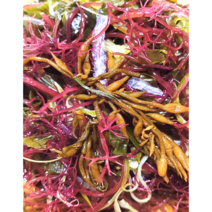 해초 샐러드 국내산 완도 모듬 염장해초 100g 500g 1kg, 7종(1kg)