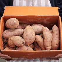 고구마직거래 고구마 꿀고구마 3kg 5kg, 꿀고구마 실속 5kg, 1개