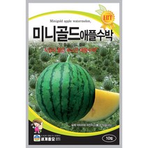 미니골드 애플 수박 씨앗 과일 채소 야채 종자 10알