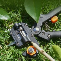 접목 가위 나무접목기 전지가위 체리 포도 원예용, 접목가위