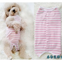 강아지 수술복 환견복 중성화후 보호 오버그루밍 A02, 블루 화이트