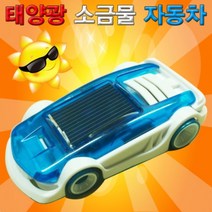 태양광 소금물 자동차-DSUN
