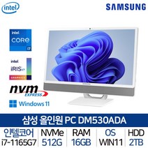 [삼성전자] 올인원 일체형PC DM530ADA-L78A_T4 i7 WIN11홈 탑재 가성비, 상세 설명 참조, 상세 설명 참조