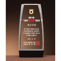 크리스탈 상패 GM0595 추대패 표창패 감사패 공로패, 기본 : 상세페이지 참조