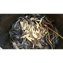 국산 미꾸라지즙 힘력보양탕 특별제조비법 기력회복 미꾸라지엑기스, 힘력보양탕 국산 3년생 미꾸라지 50포 100ML