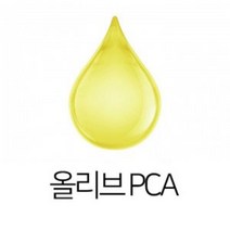 캔들바다 올리브 PCA 비누만들기재료, [ 100g ]