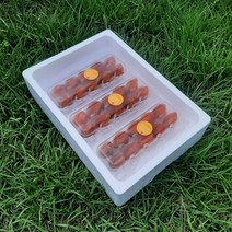 지리산 산청 무유황 반건시 곶감 천연아이스크림 아이스박스포장, 선물용반건시(중/10구X3)