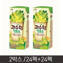 남양 과수원청포도190mlx24펫x2박스음료수음료팩음료, 과수원청포도190mlx24펫x2박스/