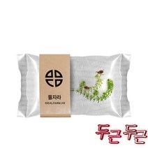 [플레이스31물자라 관찰 자연과학 초등교과 수서곤충, ONE COLOR