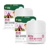 애플킨더 키즈 튼튼 철분 프리미엄 비타민C 성장기 어린이 4살 5세 6살 유아 아이들 주니어 영양제 씹어먹는 츄어블 블루베리 맛 초유 단백질 분말 혼합 유산균 가루 자일리톨, 애플 킨더 튼튼 키즈 철분 프리미엄 60회, 2세트