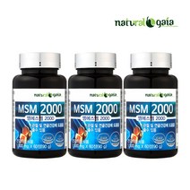 MSM 2000 3병 엠에스엠 관절건강에 도움