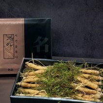 경성건강원 수삼 인삼 자연산수삼 주스 생인삼 인삼의효능 수삼보관법 먹는방법 사포닌 진세노사이드 100프로 국내산 산지직송, 2세트, 300g [10~13뿌리]