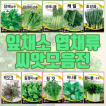 잎채소 엽채류 씨앗모음 상추씨앗 채소씨앗 웰빙쌈채소 궁채나물 부추씨앗 들깨 루꼴라 호박씨앗, 토종화신(청양)800립