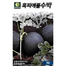 애플 수박 씨앗 5립, 1개