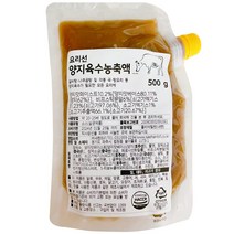요리선 양지육수농축액 500g, 1개