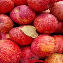 GAP인증/ 꿀사과/14브릭스이상/당도보장/10kg, 특호/특대/20-26과/선물용.제수용, 10kg