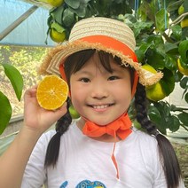 [후기보장] 제주 서귀포 햇 황금향! 꿀당도 가정용/선물용 추석선물세트, 1박스, 황금향3kg 프리미엄과(가정용)