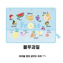 조군컴파니 차량용 햇빛가리개 커튼 아우디 A4 2.0 3.0 3.5 콰트로, 1개, 블루과일