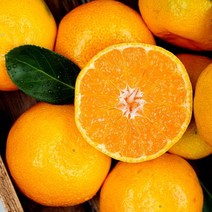 제주 하우스귤 실중량 1.5kg M-L, 단품