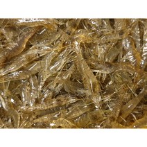 국산민물새우 기장용 민물새우, 1kg(1개), 1개
