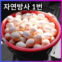 정원식품 깐메추리알 1kg, 1개