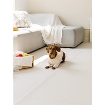 [이지폴딩100x900cm] 디팡 강아지 고양이 논슬립 이지매트 미끄럼방지 4mm 15칸, 이지그레이, 100x900cm 15칸