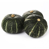 23년 뉴질랜드 청정 햇 단호박 10kg (13-18개), 단품