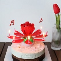 아트박스/갓샵 멜로디 연꽃초 생일축하 폭탄초 회전초 5color 인, 단품