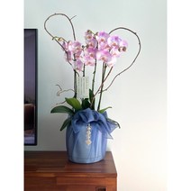 개업화분 서양란 호접란 축하 상견례난 개업 승진화분 보자기난, 소형2대, 블루, 주황, 1개