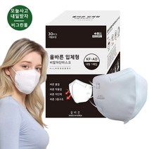 더올바른마스크 대형 개별포장 보건용 마스크 비말차단 새부리형 김안서리는마스크 흰색/검정색, 60매 블랙