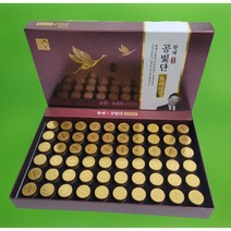 이경제 건강환 공진 침향 녹용 숙지황 활력 단 60환, 240g, 1개