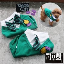 정품 강아지교복 코코아허니 지금 우리 학교는 교복, 여자 리본 색 M 중