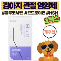 강아지 관절 영양제 강아지 관절 슬개골 애견 관절 영양제 애견 슬개골 관절건강 강아지영양제관절 반려견 관절영양제 애견 뉴트리션 트릿 사료 금강불개, 뼈/관절강화, 1개