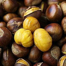 [2022년 햇] 칼집 약단밤 생율 에어프라이어용 칼집밤 국산밤(옵션 선택), 1box, 2022년 약단밤 3kg