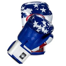 Twins Boxing 무에타이 트레이닝 스파링 장갑 (드래곤/실버 226.8g(8온스)) [미국 직배송], USA