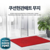 회사 엘리베이터 승강기 입구 매트 업소발매트 발판, 1개, 쿠션매트 무지녹색 중