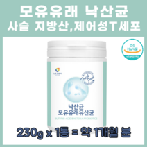 장 건강 필수 사슬 지방산 T세포 낙산균 프락토올리고당 L프롤린 아르기닌 가세리 루테리 퍼멘텀 플란타룸 19종 혼합 유산균 낙산 부티르산 락토바실러스 분말 가루 파우더