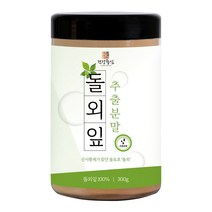 20배 농축 돌외잎 추출 분말 300g, 1개입
