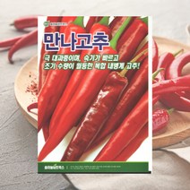 만나고추 1200립 고추씨 고추종자 두리 씨앗 솔라늄