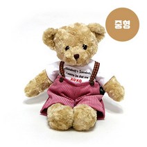 남자친구 300일 선물 체크 테디베어 브라운(중형) 곰인형 편안한