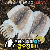 국내산 손질 갑오징어 1.4kg 요리 구이 숙회, 손질갑오징어 1.4kg