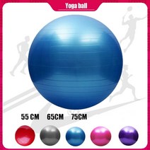 토닝볼 메디신 땅콩 웨이트 볼 556575cm 요가 필라테스 피트니스 밸런스 체조 여성, 파란색 65cm