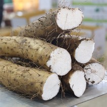 클라스가 다른 더조은 국내산 장마 5kg (실속형/알뜰형/중품/특상품), 장마(특상품)5kg