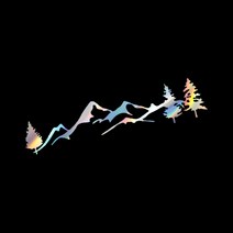 자동차포인트 0320 산나무 튜닝스티커, M, 홀로그램, 1개